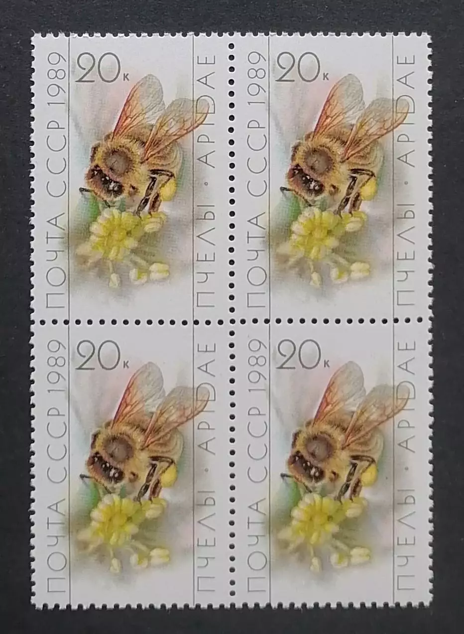 СССР 1989. Пчеловодство. Рабочая пчела на цветке. Квартблок.