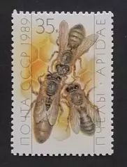 СССР 1989. Пчеловодство. Матка и рабочие пчелы.