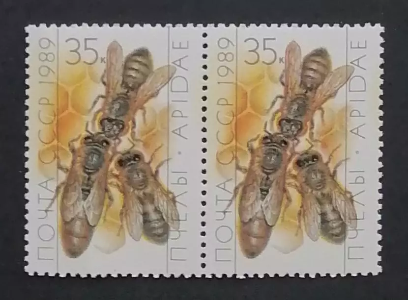 СССР 1989. Пчеловодство. Матка и рабочие пчелы. Пара.1
