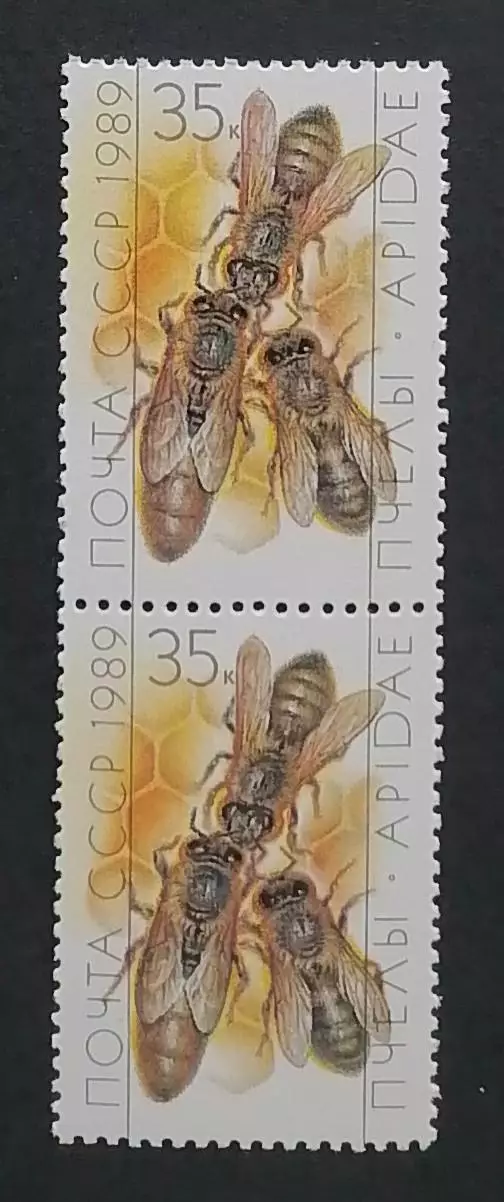 СССР 1989. Пчеловодство. Матка и рабочие пчелы. Пара.2