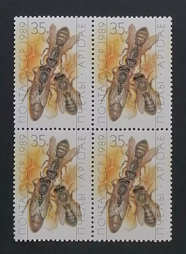 СССР 1989. Пчеловодство. Матка и рабочие пчелы. Квартблок.