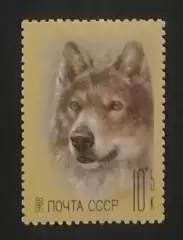 СССР 1988. Фауна. Фонд помощи зоопаркам. Волк.