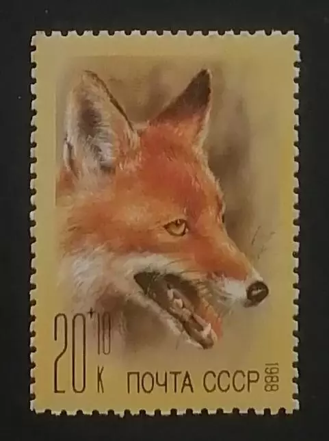 СССР 1988. Фауна. Фонд помощи зоопаркам. Лисица.