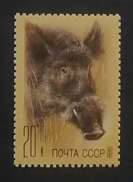 СССР 1988. Фауна. Фонд помощи зоопаркам. Кабан.