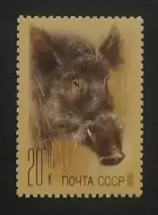 СССР 1988. Фауна. Фонд помощи зоопаркам. Кабан.