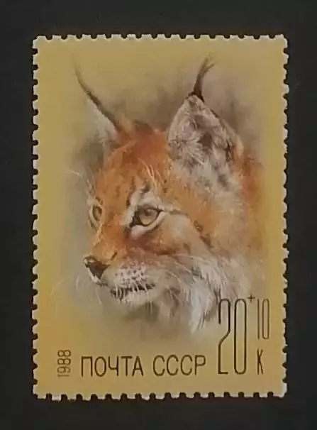 СССР 1988. Фауна. Фонд помощи зоопаркам. Рысь.