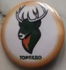 Значок мини-футбол Торпедо (Нижний Новгород) закатный