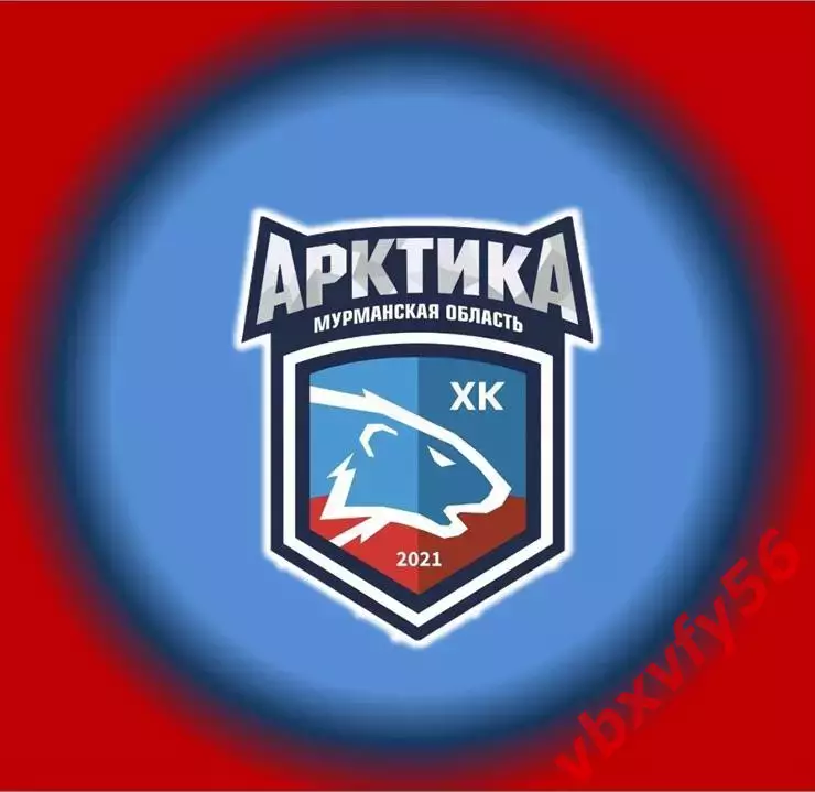 Магнит хк Арктика (Мурманск) хоккей НМХЛ