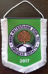 ВЫМПЕЛ мфк ЛКС (Липецк) средний