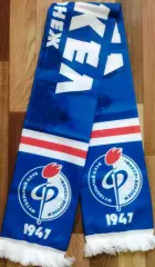 ФкФакел Воронеж шарф шелк