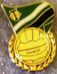 Значок Торпедо Москва Флаг мяч зелёный