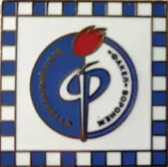 Значок Факел Воронеж квадрат 2.5 белый