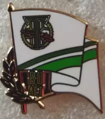 Значок Торпедо Москва - 80 лет золотой