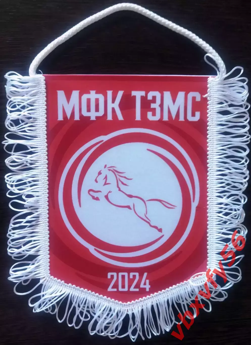 ВЫМПЕЛ мфк ТЗМС (Тула) средний красный