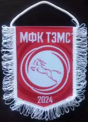 ВЫМПЕЛ мфк ТЗМС (Тула) средний красный
