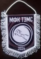 ВЫМПЕЛ мфк ТЗМС (Тула) средний черный