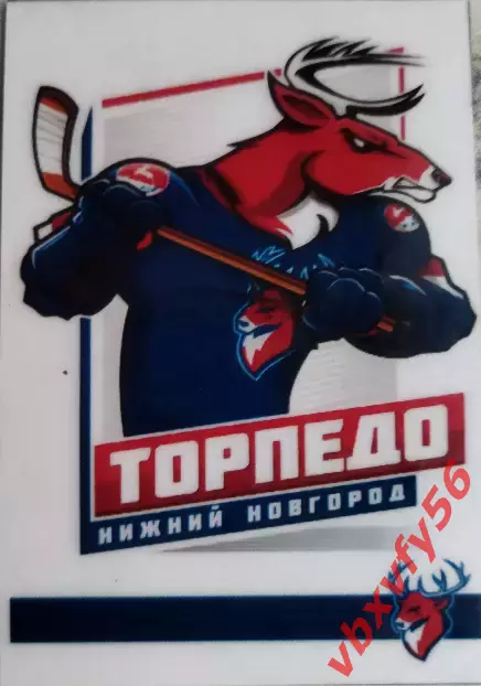 Магнит ХКТорпедоНижний Новгород