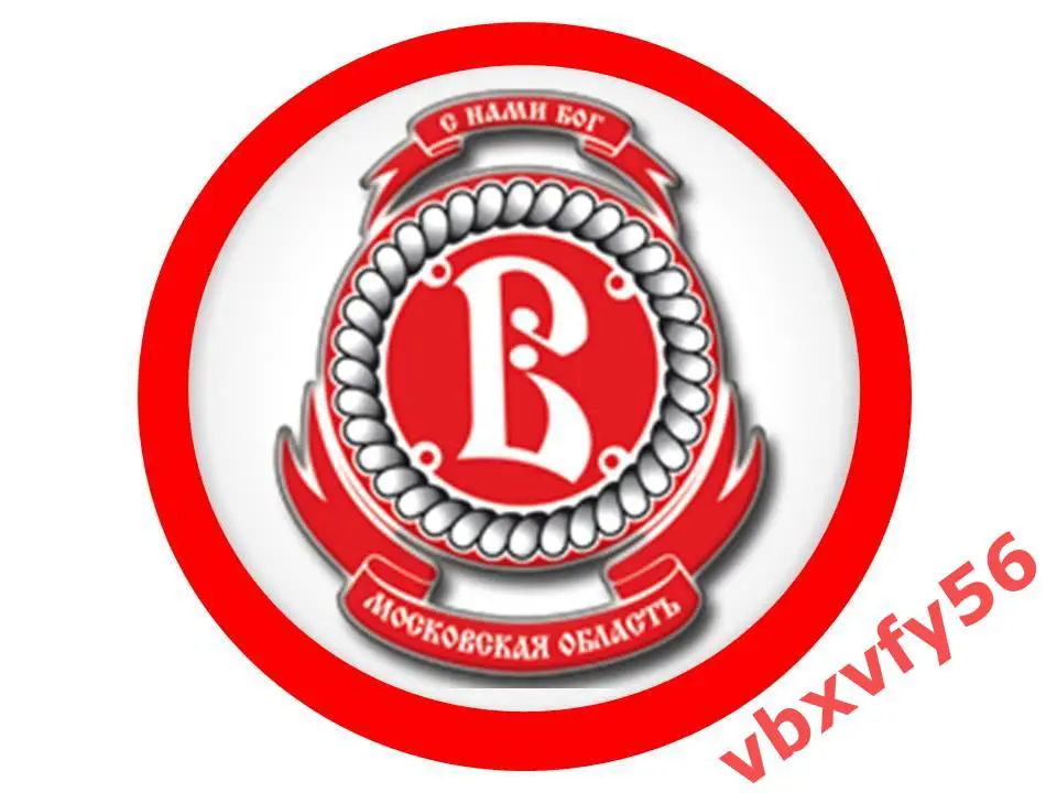 Значок Круг ВитязьПодольск эмблема 1