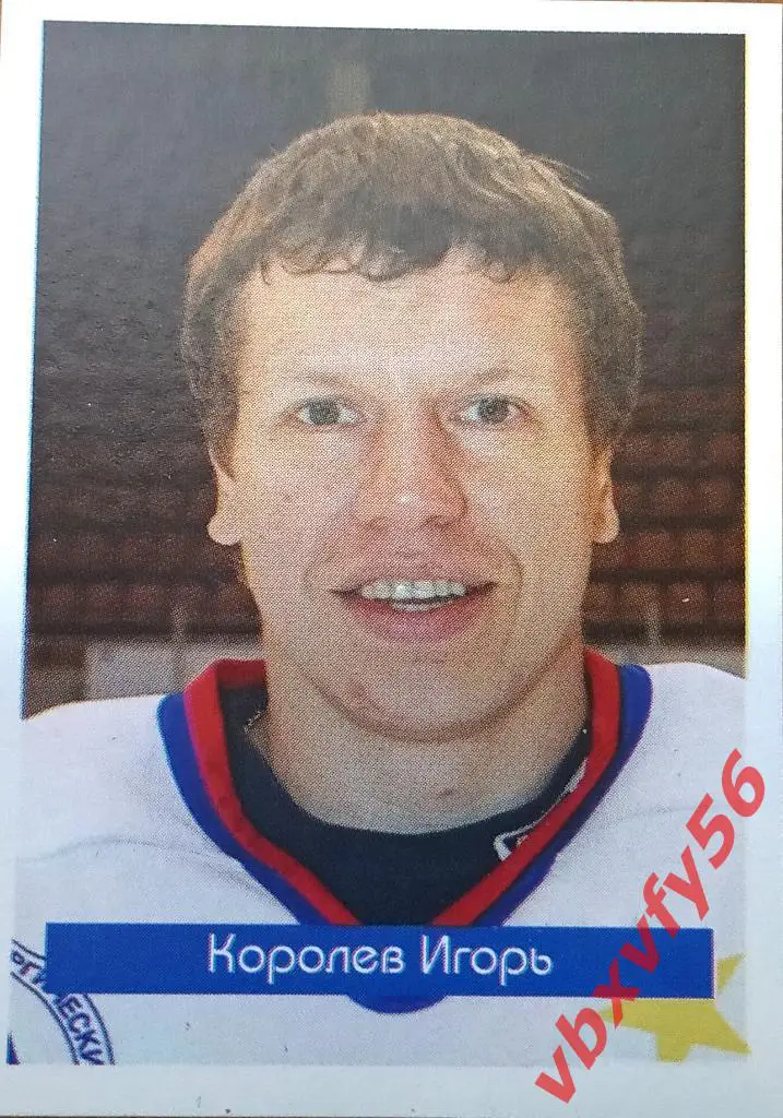 Наклейки МеталлургМагнитогорск Королев Игорь