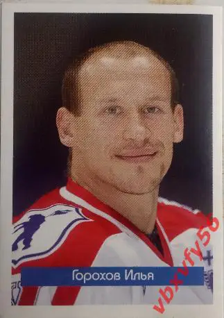 Наклейки ЛокомотивЯрославль Горохов Илья