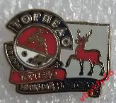 Значок ТорпедоНижний Новгород маленький