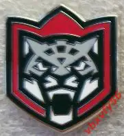 Значок АК Барс Казань эмблема