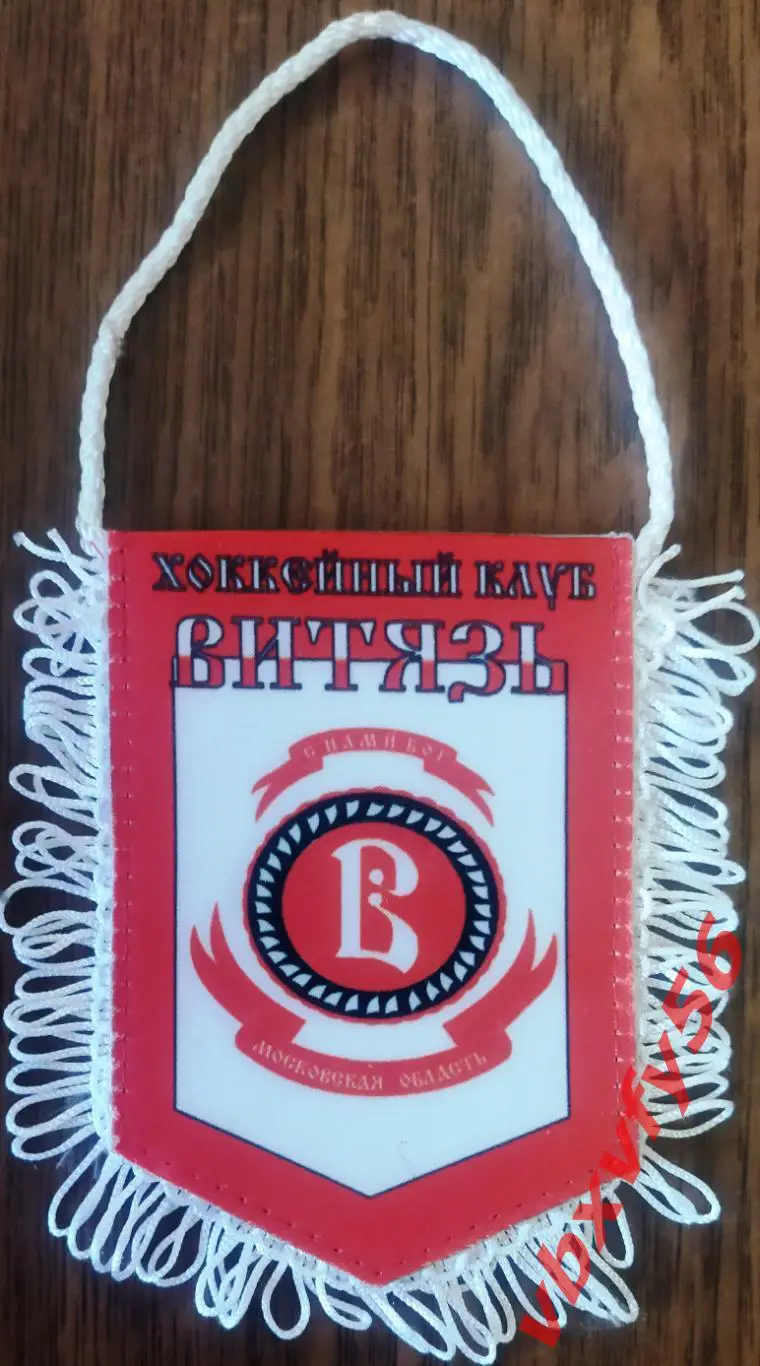 ВЫМПЕЛ Витязь(Московская область) малый