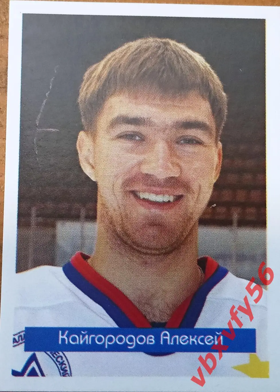 Наклейки МеталлургМагнитогорск Кайгародов Алексей