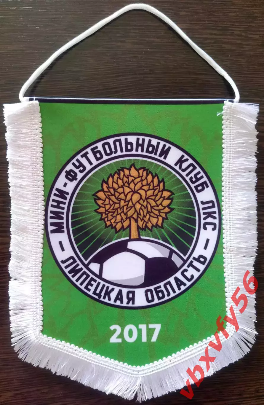 ВЫМПЕЛ мфк ЛКС (Липецк) средний