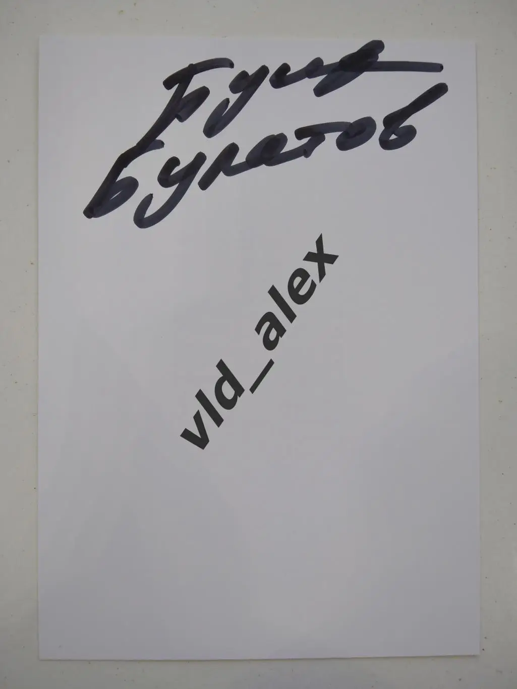 Автограф Виктора Булатова