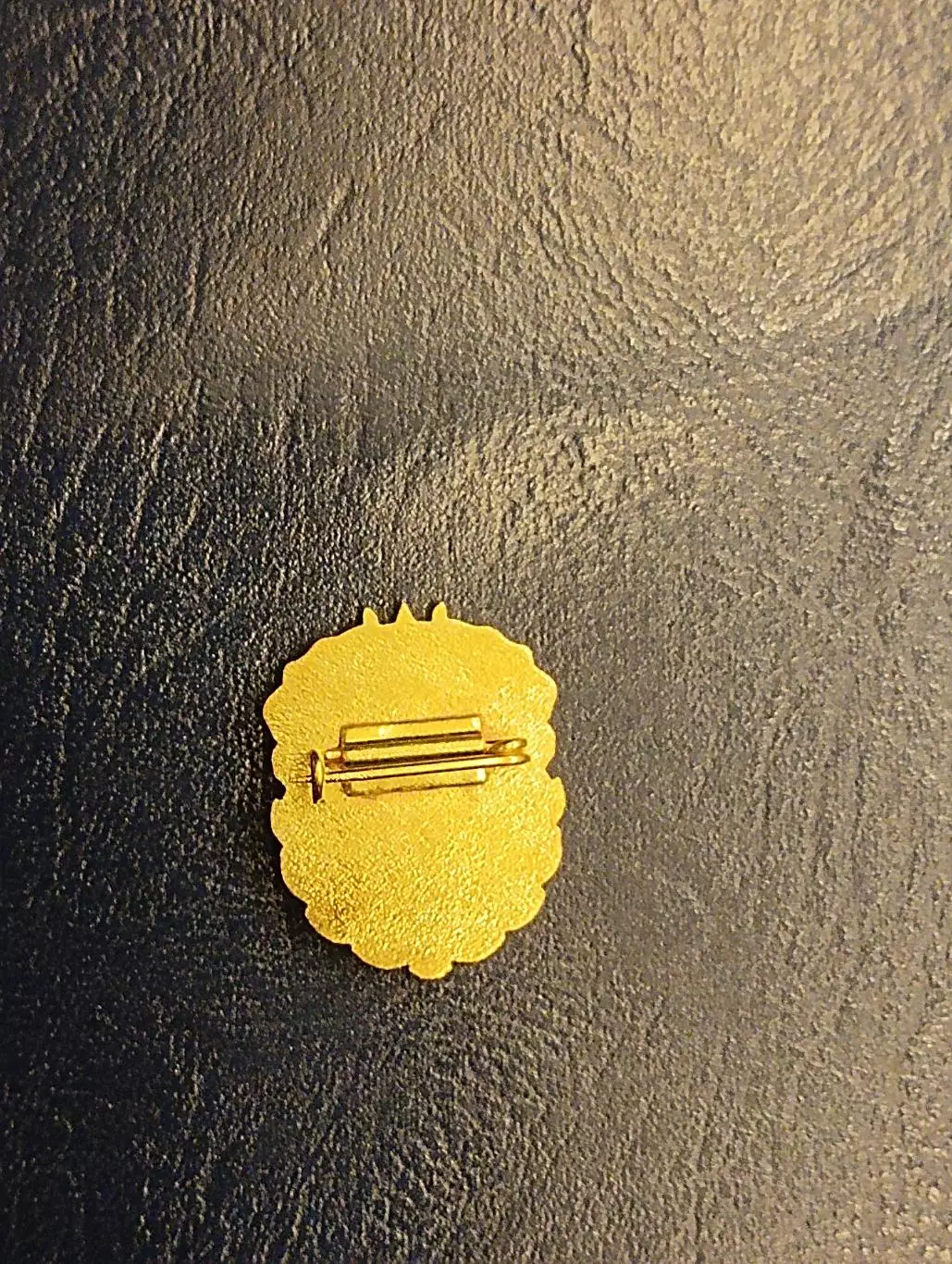 Спартак Москва Ленин Сталин футбол знамя ДСО 1