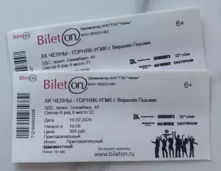 Официальный билет матча ВХЛ 2025/26 ХК «ЧЕЛНЫ» - ХК Горняк-УГМК (Верхняя Пышма)