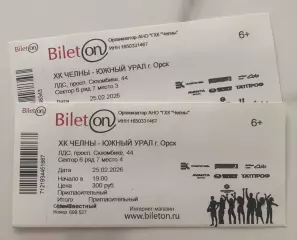 Официальный билет матча ВХЛ 2025/26 ХК «ЧЕЛНЫ» - ХК Южный Урал (Орск)