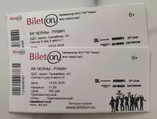 Официальный билет матча ВХЛ 2025/26 ХК «ЧЕЛНЫ» - ХК Рубин (Тюмень)