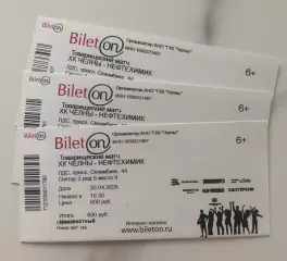 Официальный билет ХК ЧЕЛНЫ - ХК Нефтехимик (Нижнекамск) ВХЛ vs КХЛ 2026г.