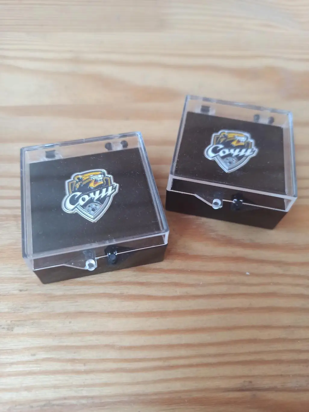 Официальный значок ФК Сочи