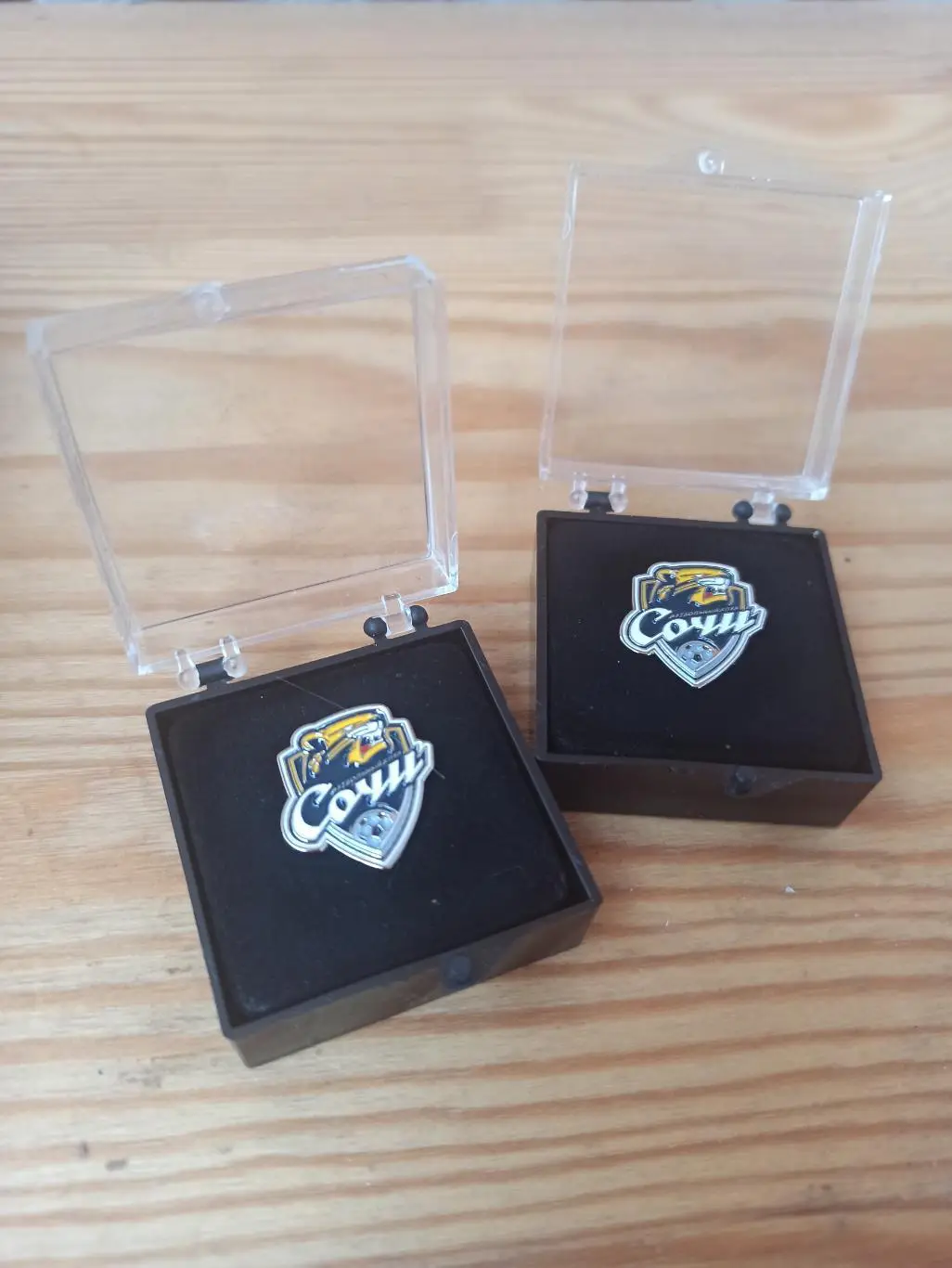 Официальный значок ФК Сочи 1