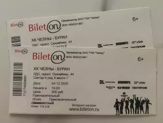 Официальный билет матча ВХЛ 2025/26 ХК «ЧЕЛНЫ» - ХК Буран (Воронеж)