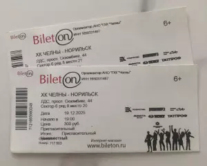 Официальный билет матча ВХЛ 2025/26 ХК «ЧЕЛНЫ» - ХК Норильск