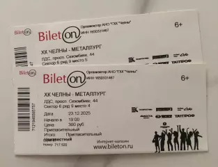 Официальный билет матча ВХЛ 2025/26 ХК «ЧЕЛНЫ» - ХК Металлург (Новокузнецк)