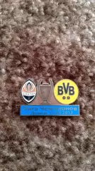 Шахтар Д-Борусія Д 2013