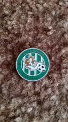 ФК Галичина Галичани,ФК Бори Бориничі.Львівщина.