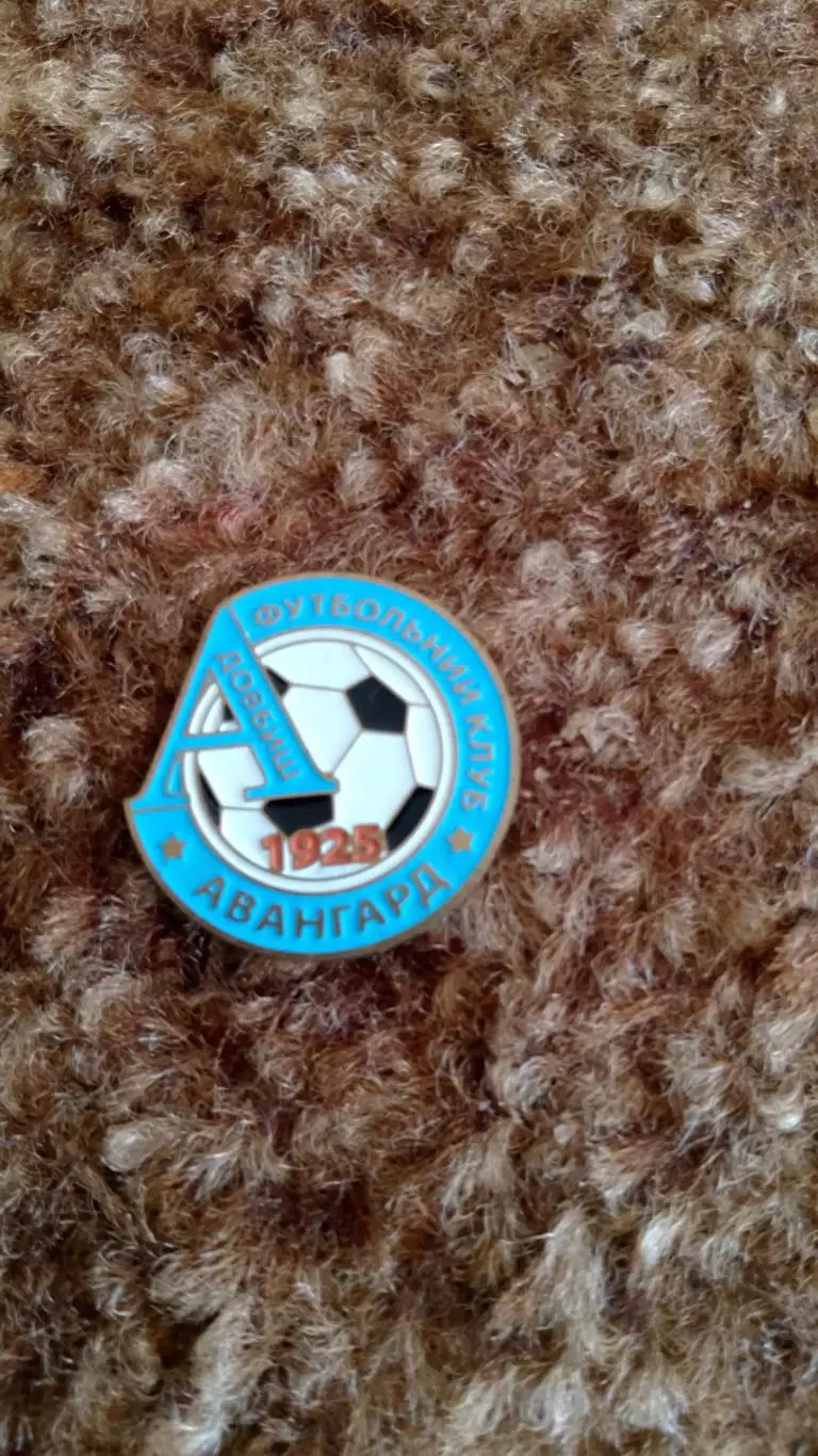 Авангард Довбиш.Житомирщина.