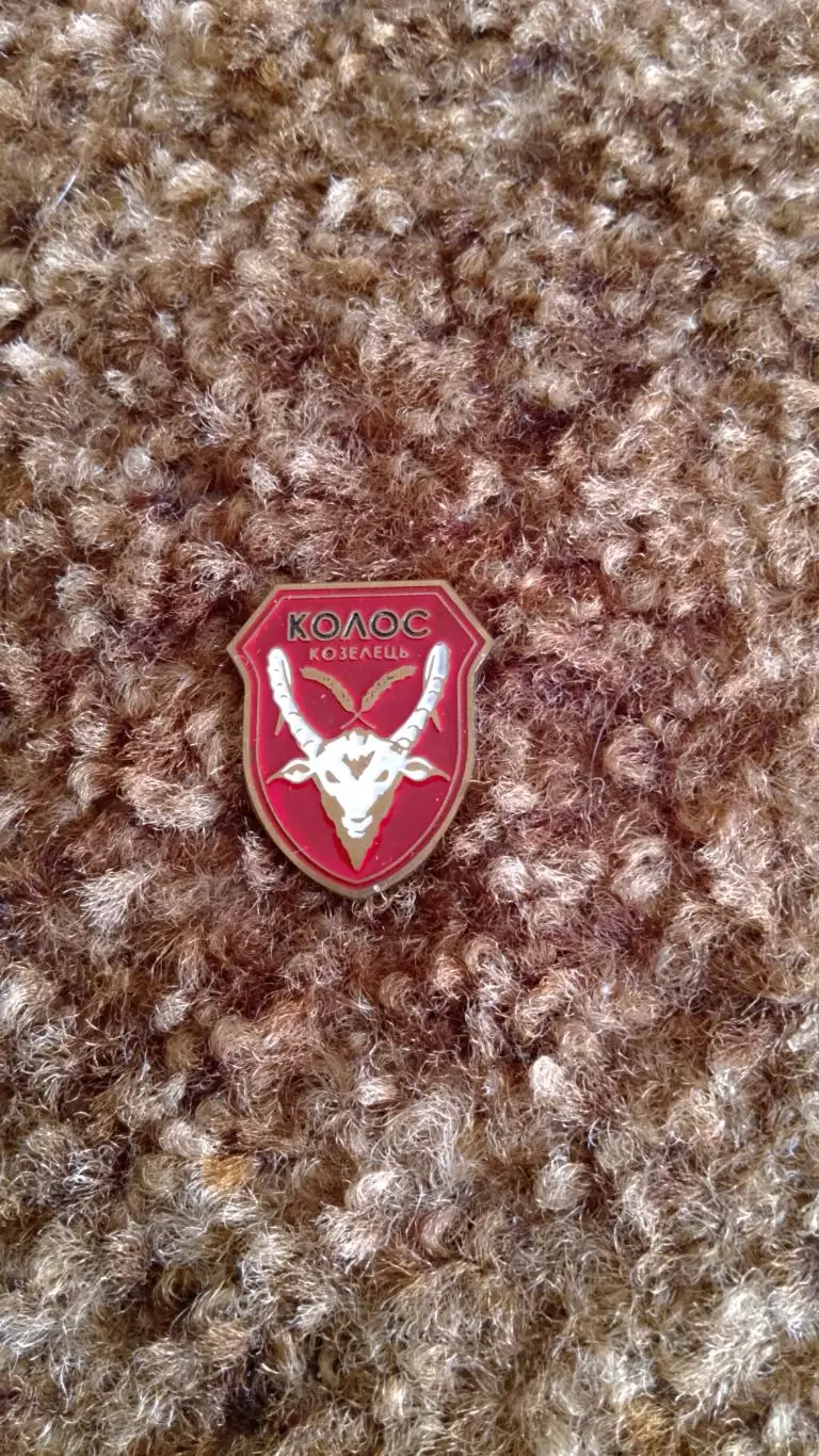 Єдність Плиски.Колос Козелець.Чернігівщина. 1