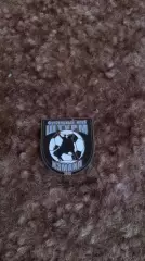 ФК Штурм Ізмаїл