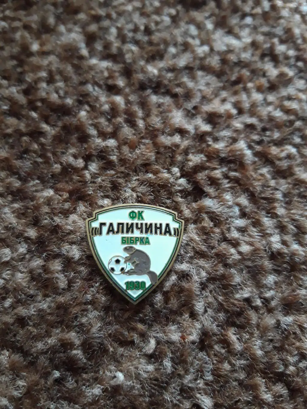 Галичина Бібрка