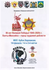 Мамонты Югры - Чайка Нижний Новгород, 1/4 Кубка Харламова, апрель 2025г.