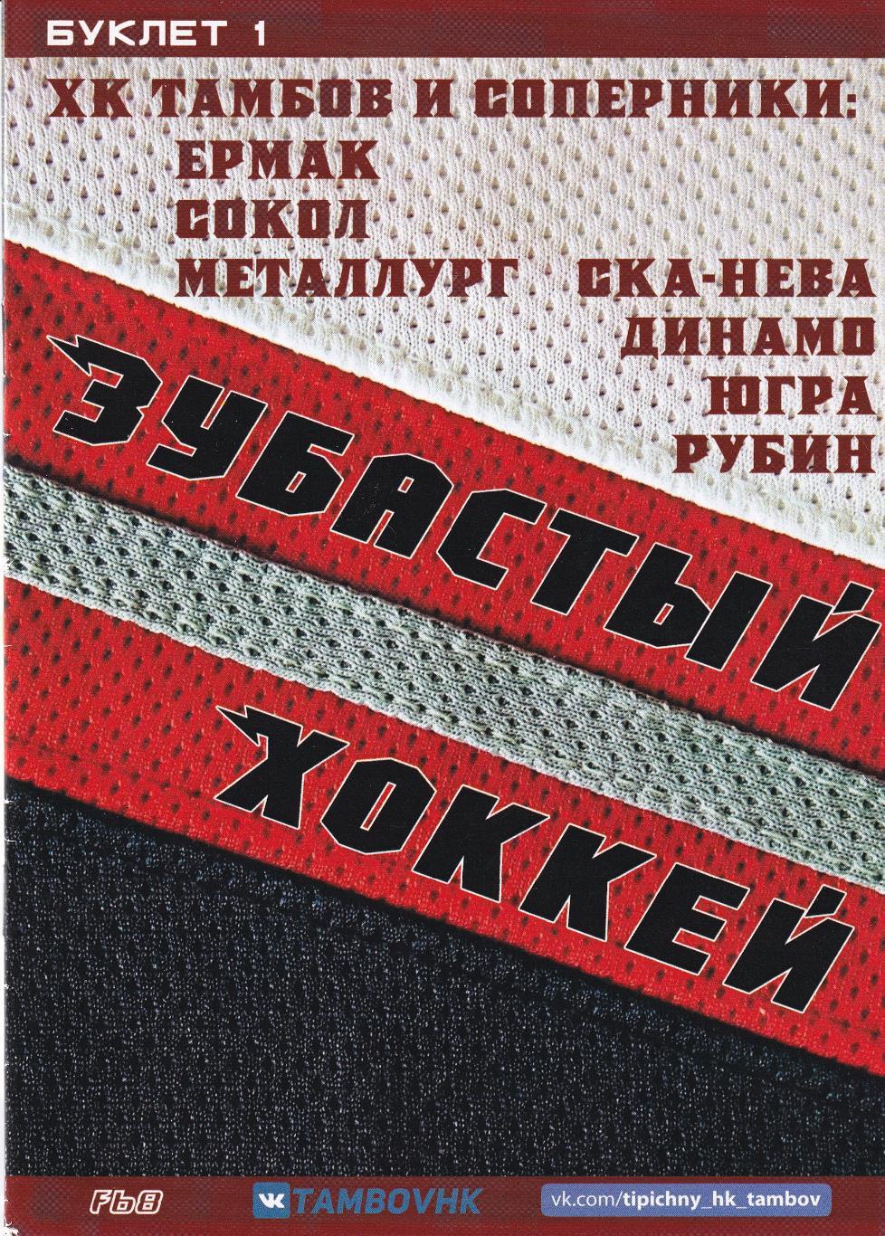 Тамбов - Ермак, Сокол, Металлург Нк., СКА-Нева, Динамо СПб., Югра, Рубин, 2018г.