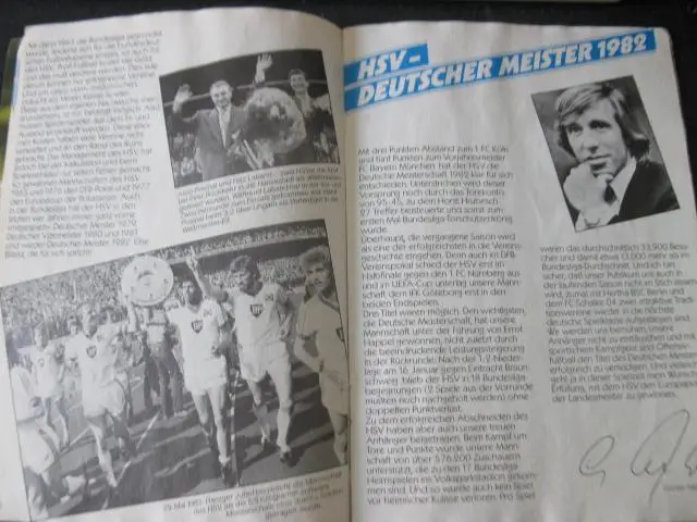 Гамбург Германия - Das ist der HSV 3