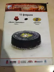 Молот-Прикамье - Дизель Пенза. 13.02.2017
